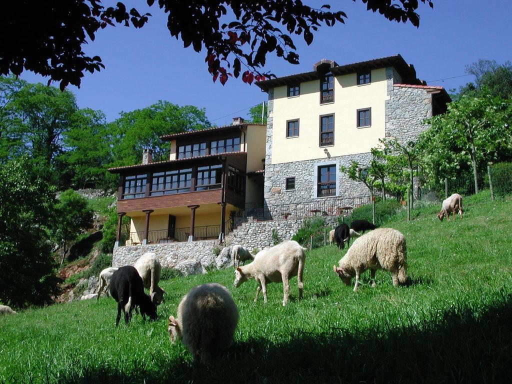 Hotel Posada Del Valle Collia Exterior photo